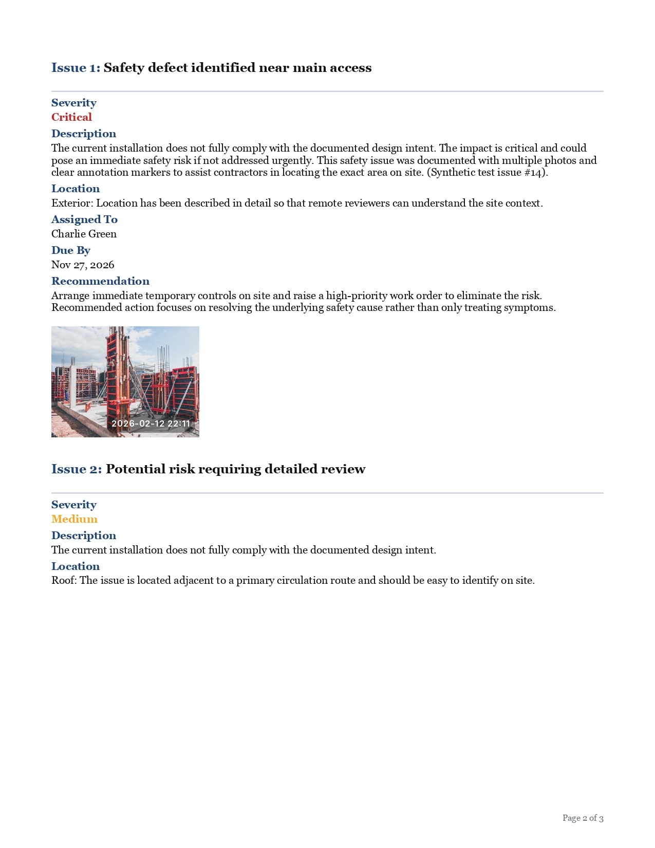 Professional Audit Report Example 1