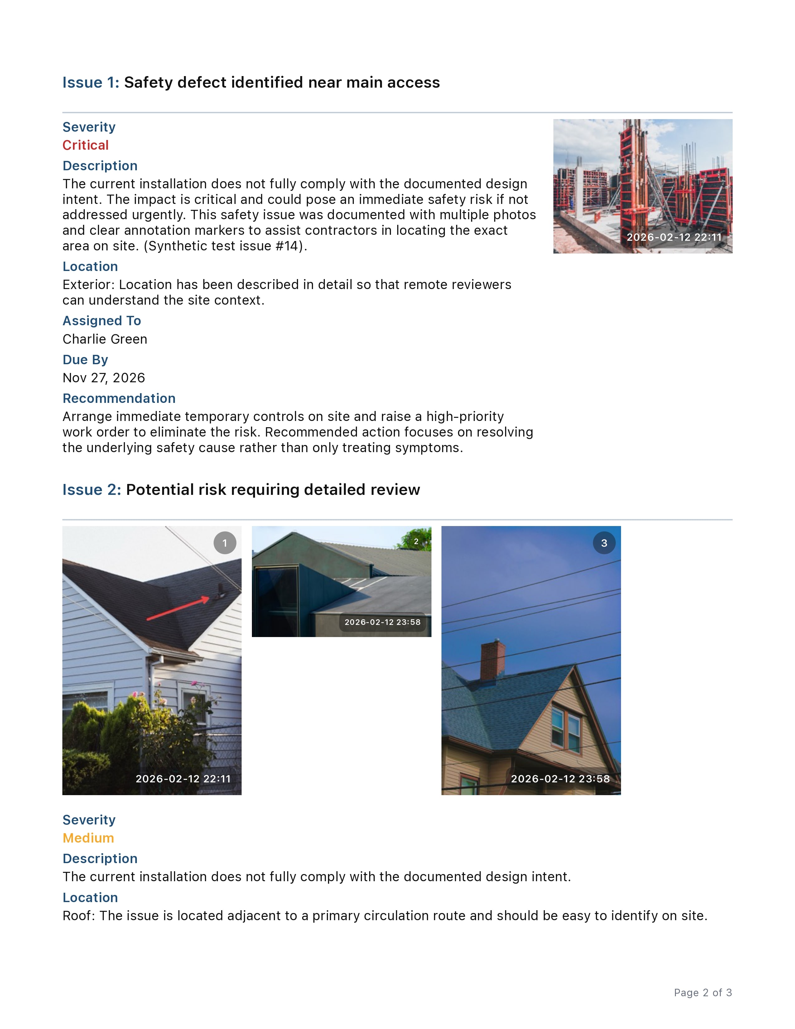 Professional Audit Report Example 2