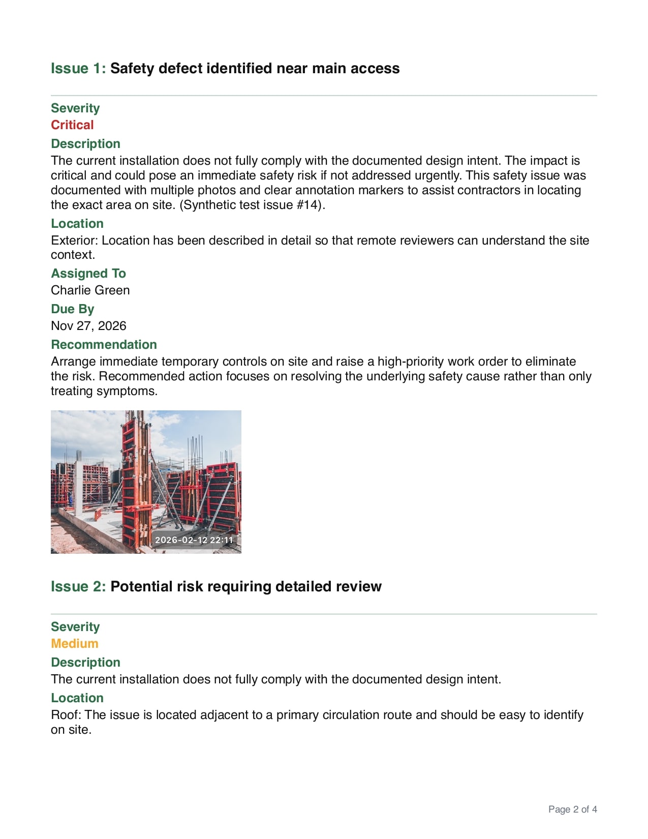 Professional Audit Report Example 3