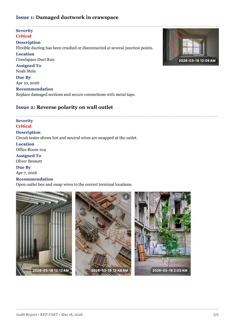 Professional Audit Report Example 4