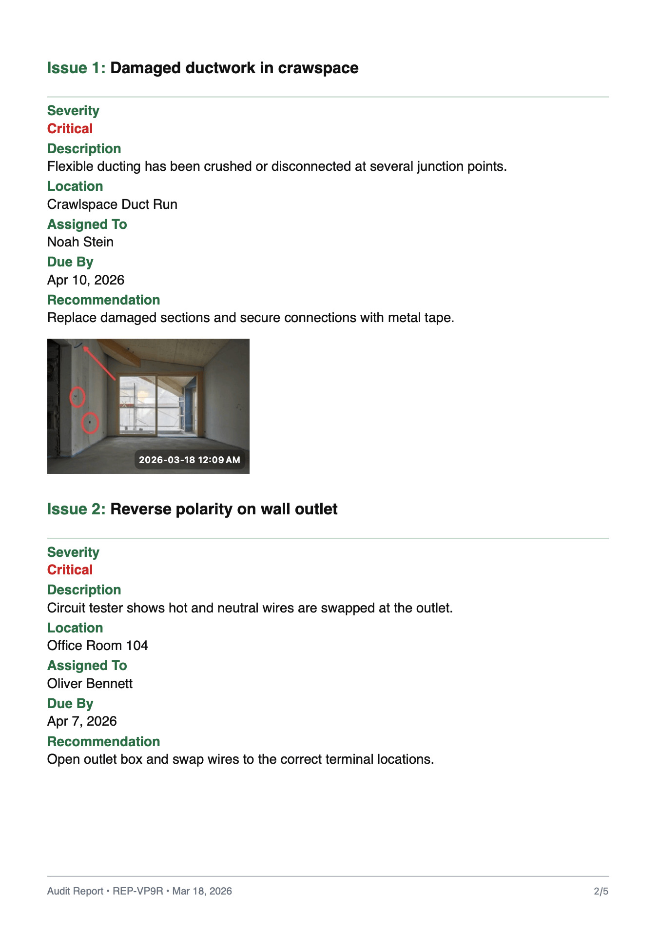 Professional Audit Report Example 5