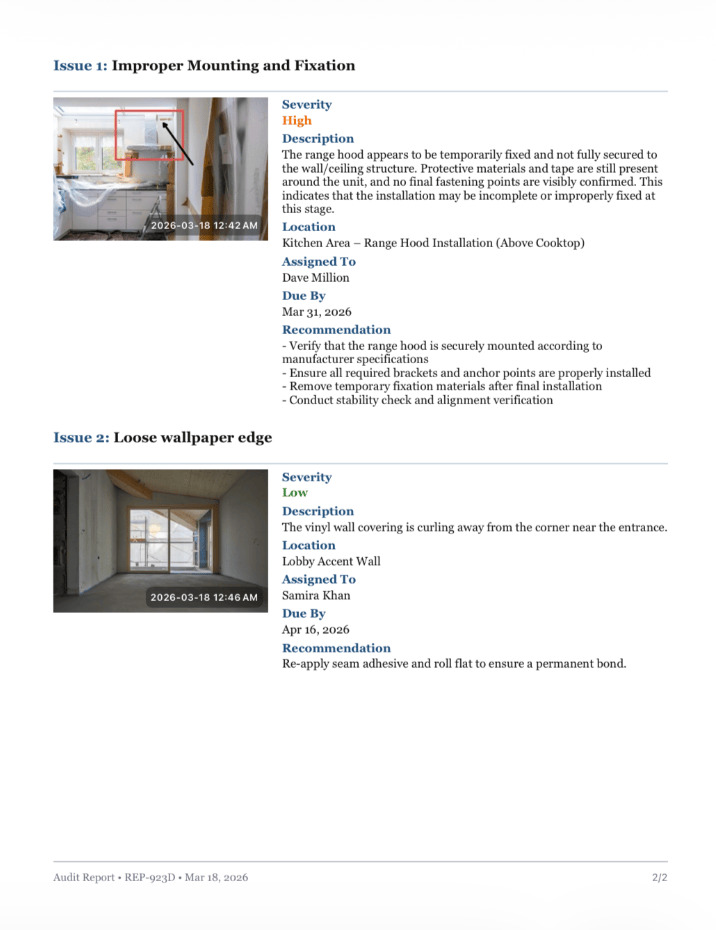 Professional Audit Report Example 6